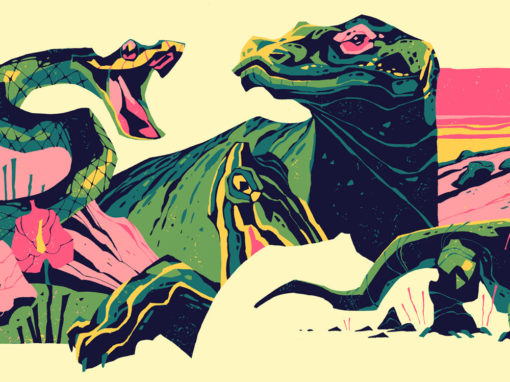 Animals Medley<br><span style='color:#ff5600;font-size:12px;'>Personal project</span>