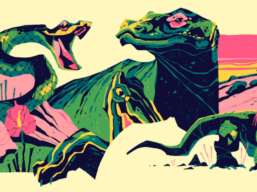 Animals Medley<br><span style='color:#ff5600;font-size:12px;'>Personal project</span>